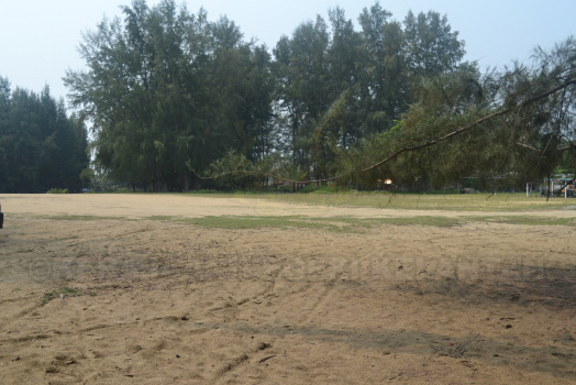 DSC 0386