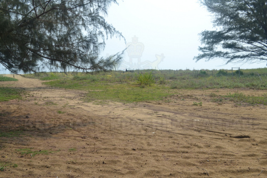 DSC 0387
