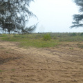 DSC 0387