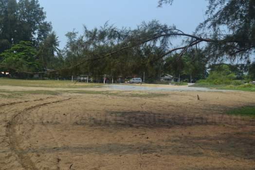 DSC 0394