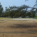 DSC 0394