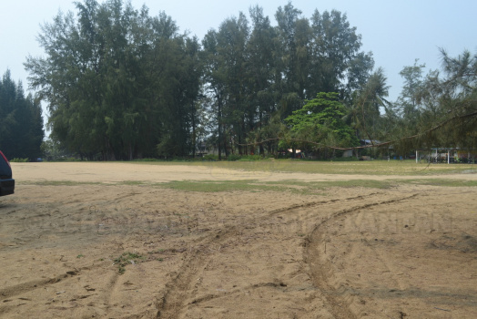 DSC 0395