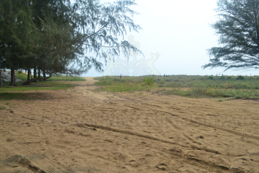 DSC 0400