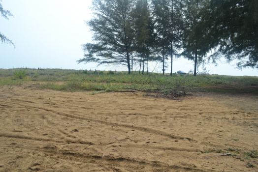 DSC 0401