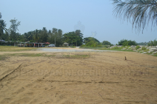 DSC 0402