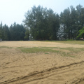 DSC 0404