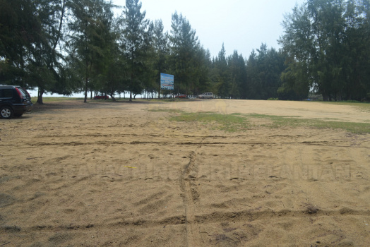 DSC 0406