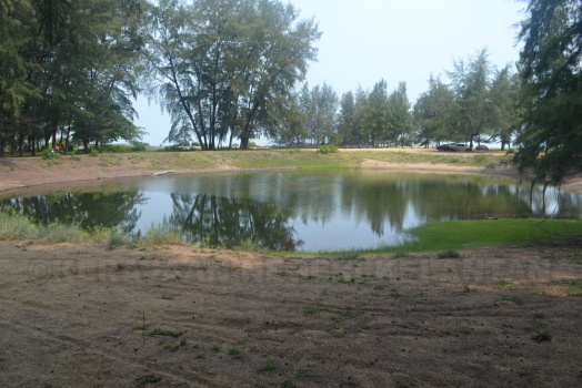 DSC 0410