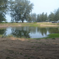 DSC 0410