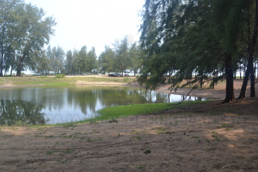 DSC 0411