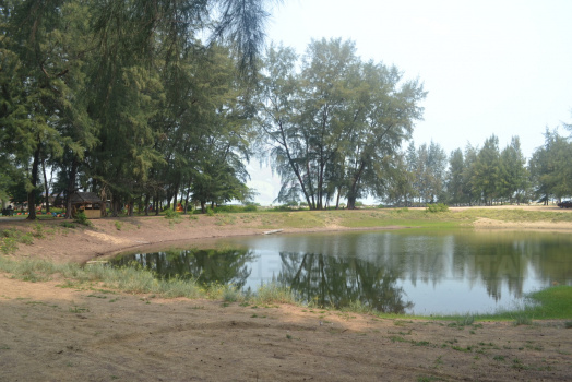 DSC 0412