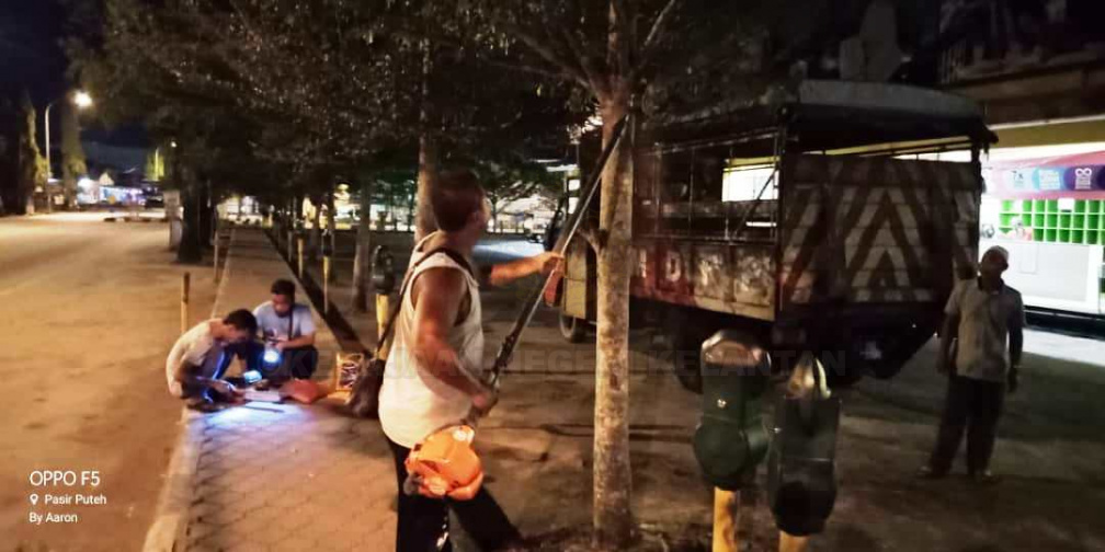 Rakyat Majlis Daerah Pasir Puteh 2019 Kerja Kerja Mencantas Pokok Di Hadapan Econjaya Pasir Puteh Egaleri Kerajaan Negeri Kelantan