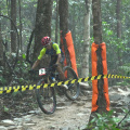 DSC_7771.JPG
