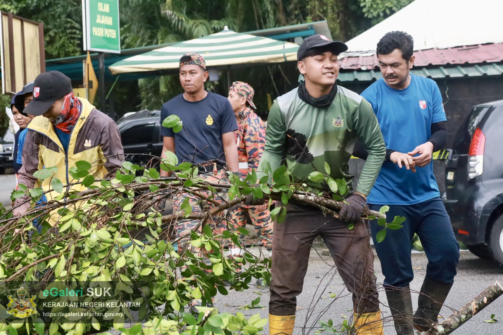 program-penebangan-pokok-usang-3.JPG