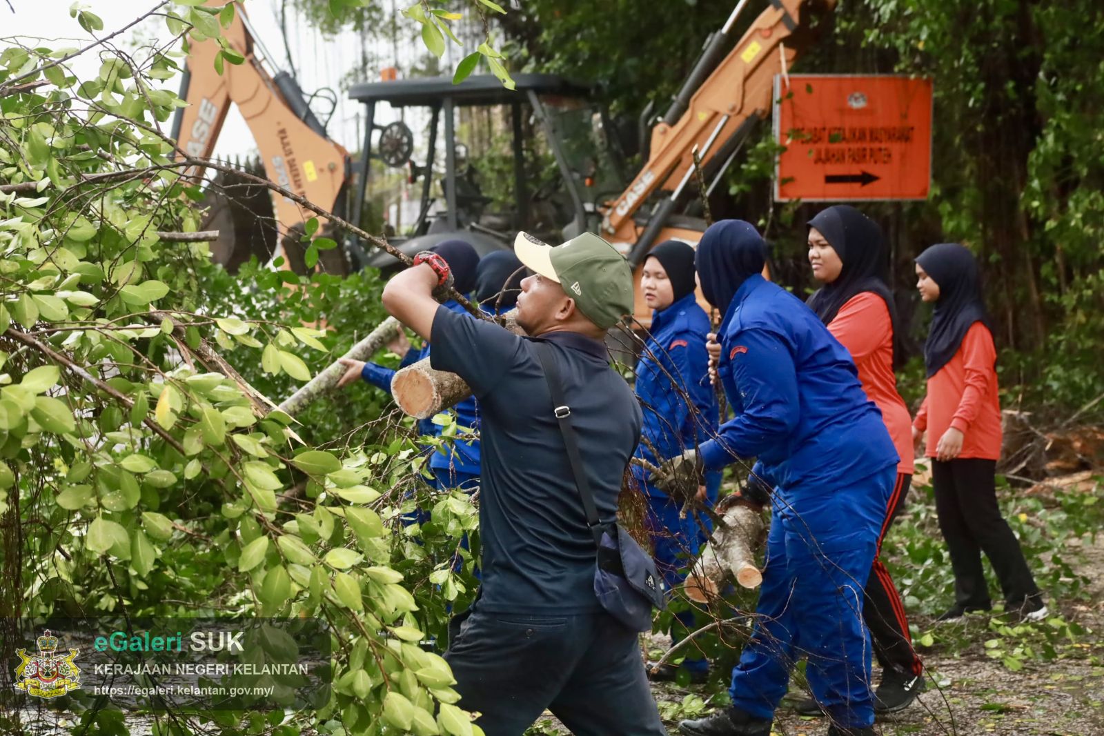 program-penebangan-pokok-usang-5.JPG