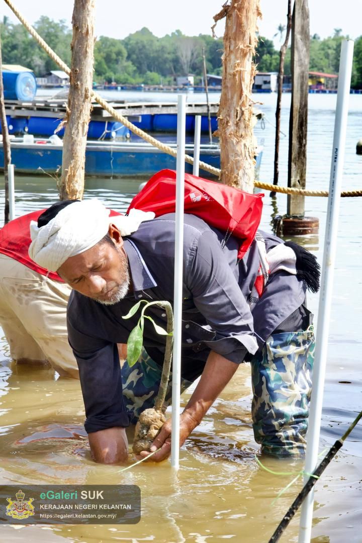 program-penanaman-pokok-bakau-di-jeti-laguna-semerak-pasir-puteh-37.jpg