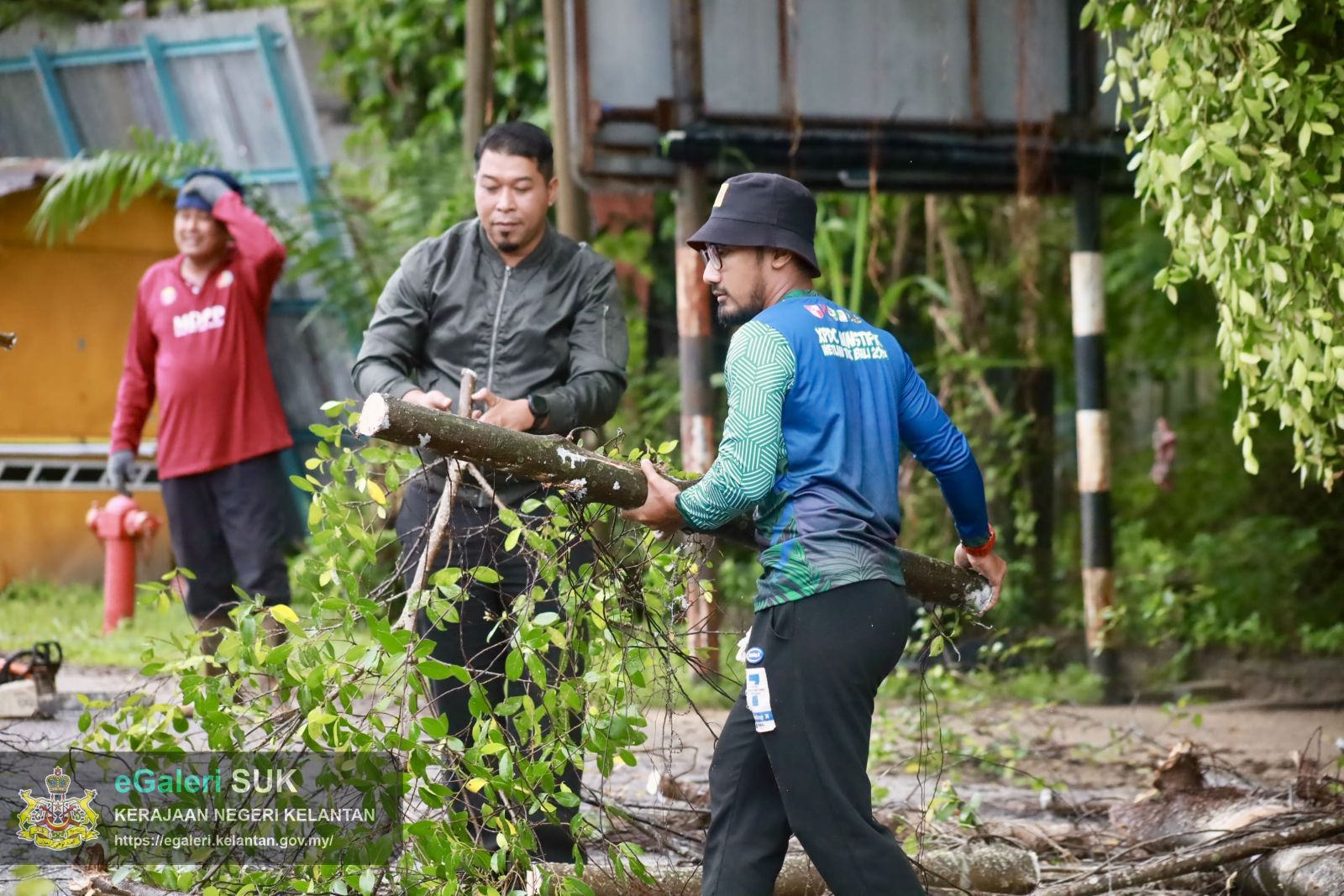 program-penebangan-pokok-usang-2.JPG