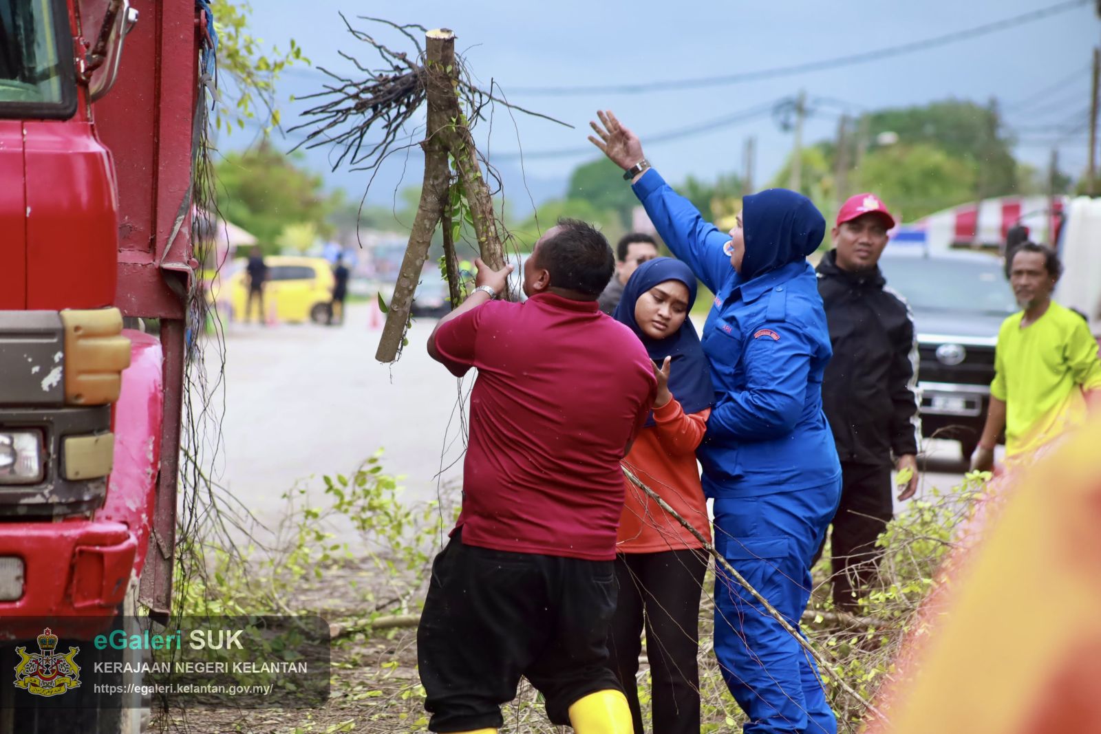 program-penebangan-pokok-usang-10.JPG