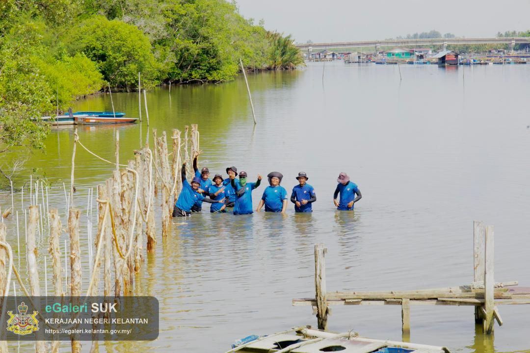 program-penanaman-pokok-bakau-di-jeti-laguna-semerak-pasir-puteh-40.jpg