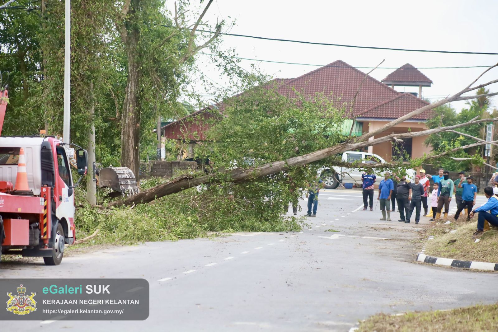program-penebangan-pokok-usang-di-jalan-pasir-putehtok-bali-yang-melibatkan-pelbagai-agensi-6.JPG
