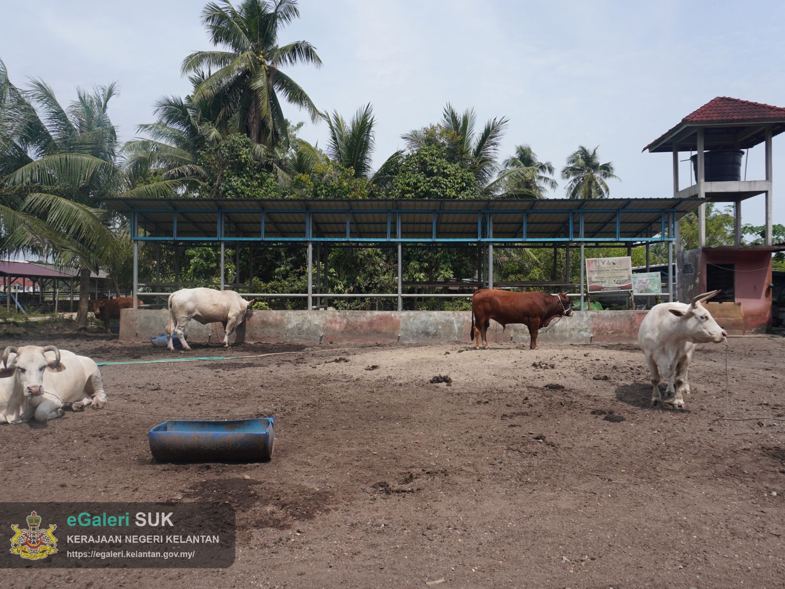 lawatan-kerja-pengarah-jpvnk-ke-pejabat-perkhidmatan-veterinar-jajahan-pasir-mas-19.jpeg