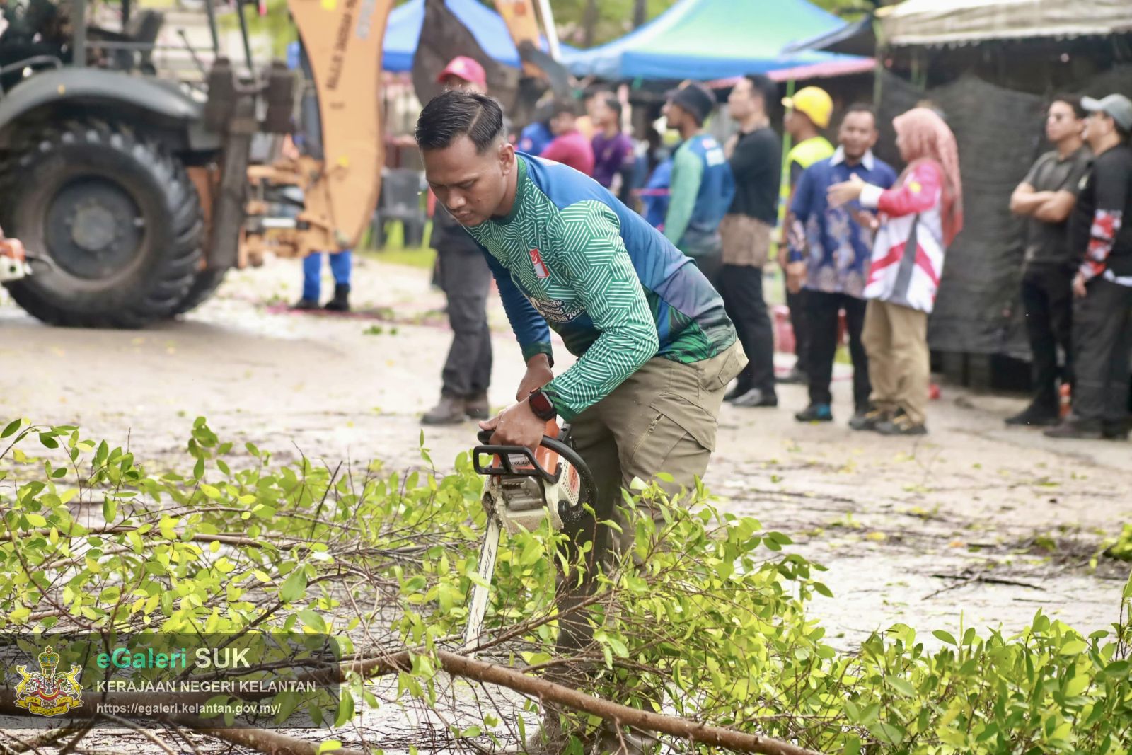 program-penebangan-pokok-usang-6.JPG