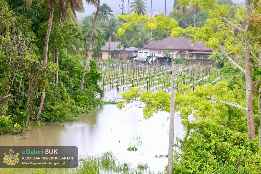 tinjauan-kawasan-banjir-berkaitan-projek-ecrl-di-bukit-abal-3.jpg