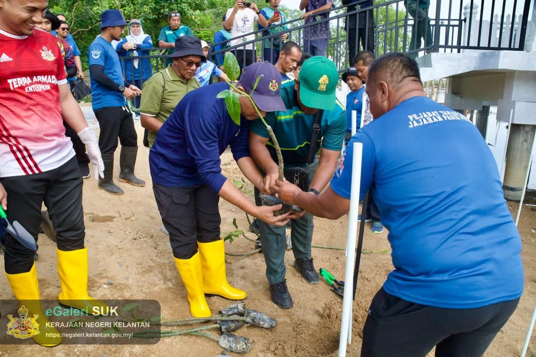program-penanaman-pokok-bakau-di-jeti-laguna-semerak-pasir-puteh-29.jpg