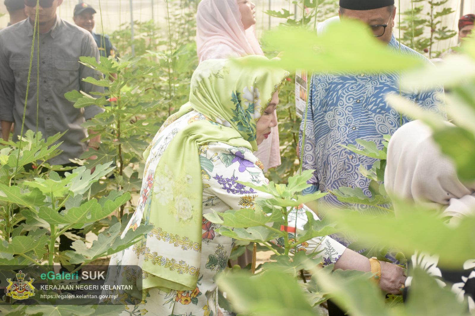 keberangkatan-yang-maha-mulia-raja-perempuan-tengku-anis-binti-almarhum-tengku-abdul-hamid-ke-ay-benefigs-farm-dan-kilang-keropok-cap-menara-jajahan-pasir-puteh-8.JPG