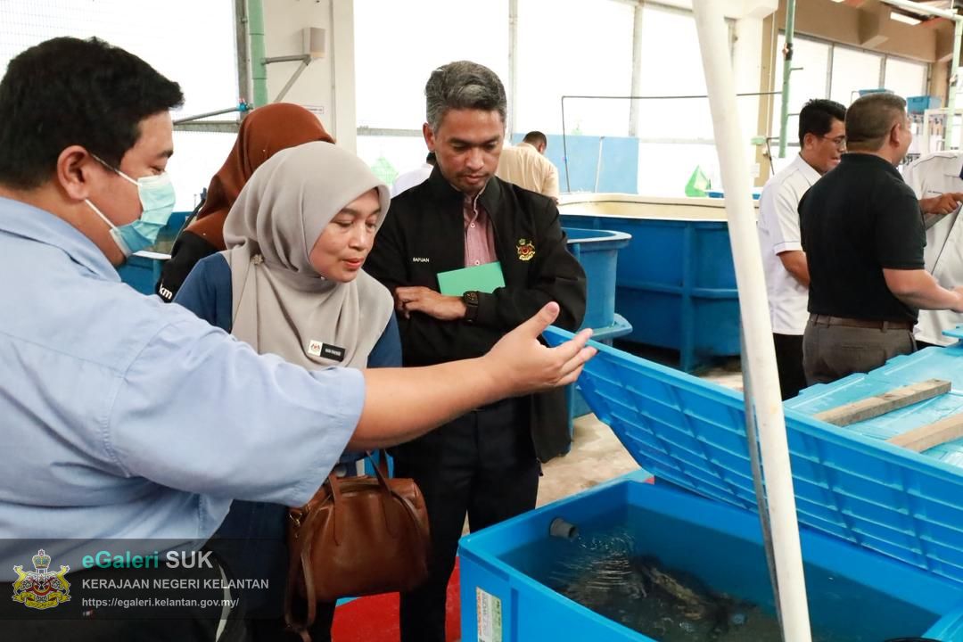 lawatan-kerja-ke-universiti-malaysia-terengganu-umt-bagi-tujuan-perkongsian-maklumat-konservasi-ketam-nipah-5.jpg