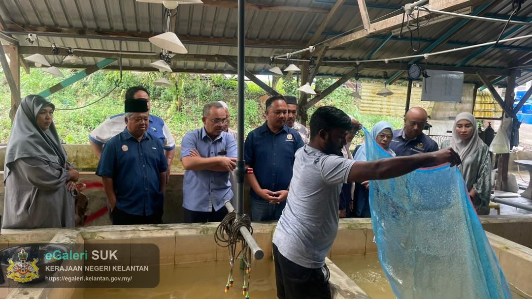 lawatan-ketua-jajahan-ke-pembenihan-ikan-di-kg-enggong-kuala-krai-4.jpeg