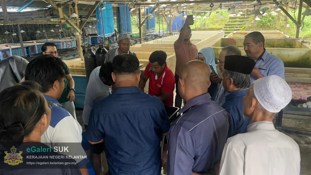 lawatan-ketua-jajahan-ke-pembenihan-ikan-di-kg-enggong-kuala-krai-7.jpeg