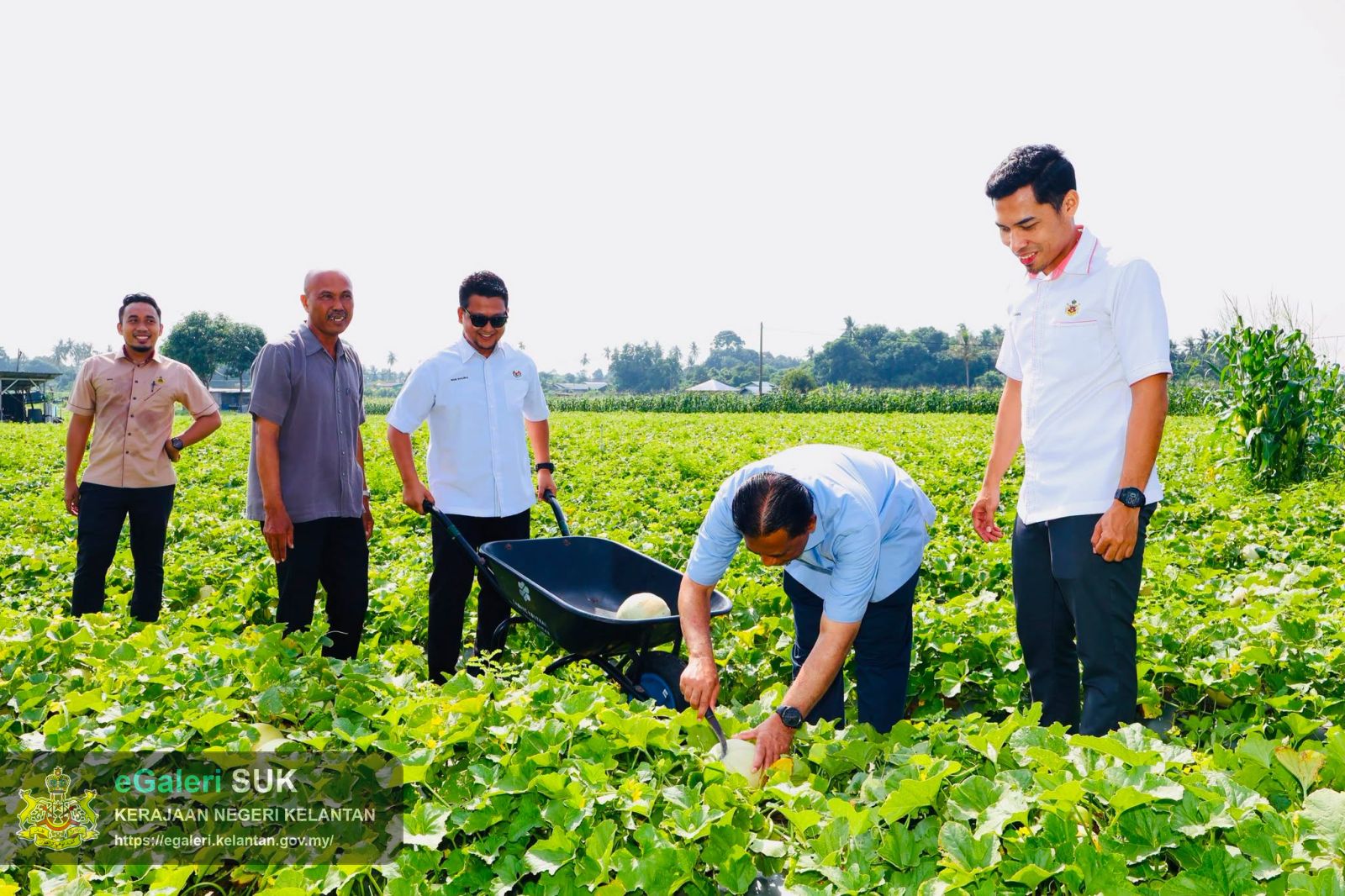 lwatan-yabrs-ketua-jajahan-ke-projek-tanaman-banggol-melon-rock-melon-1.jpg
