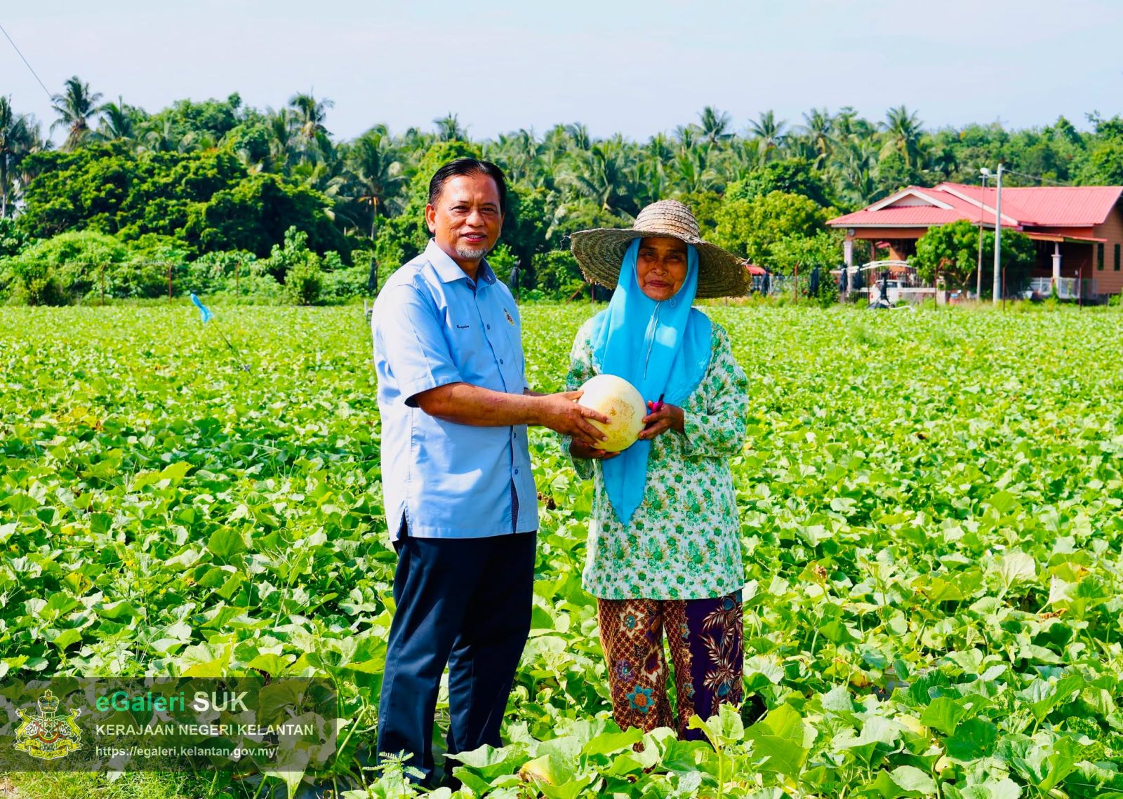 lwatan-yabrs-ketua-jajahan-ke-projek-tanaman-banggol-melon-rock-melon-14.jpg