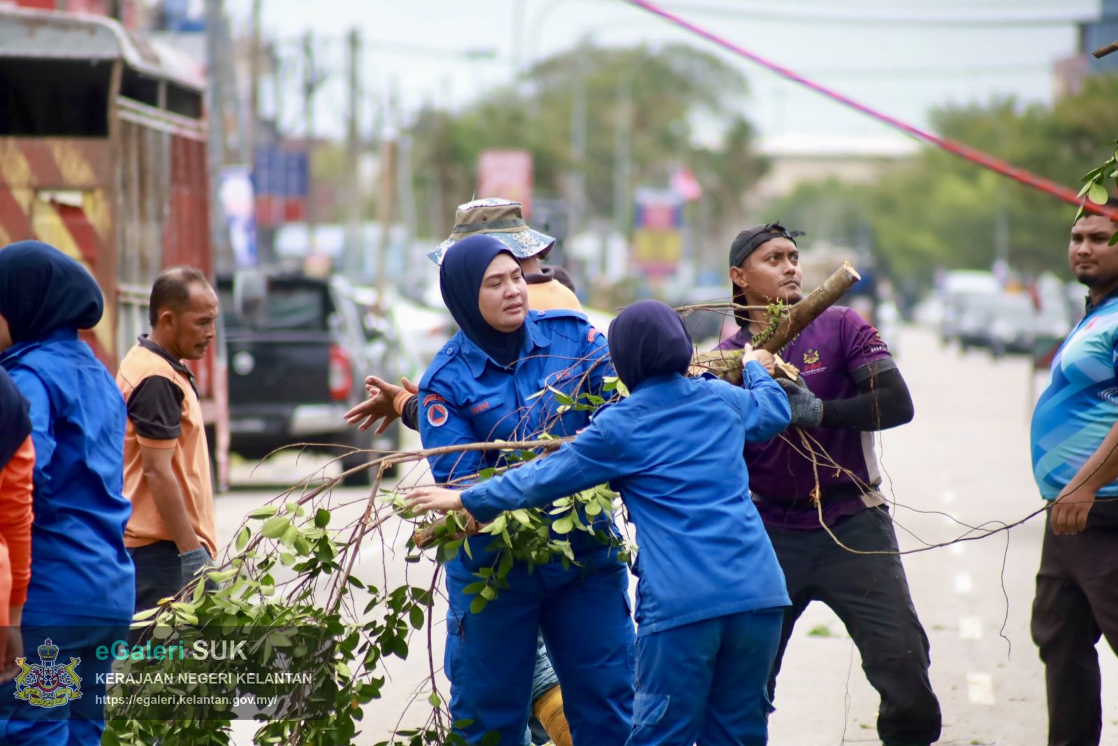 program-penebangan-pokok-usang-9.JPG