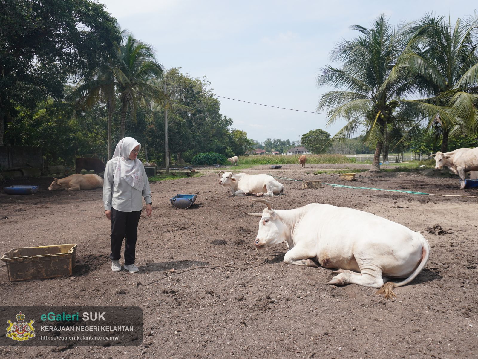 lawatan-kerja-pengarah-jpvnk-ke-pejabat-perkhidmatan-veterinar-jajahan-pasir-mas-12.jpeg