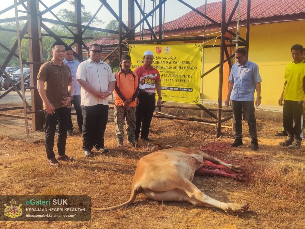 program-agihan-daging-lembu-kurniaan-kdymm-sultan-muhammad-v-di-jajahan-jeli-1.jpg