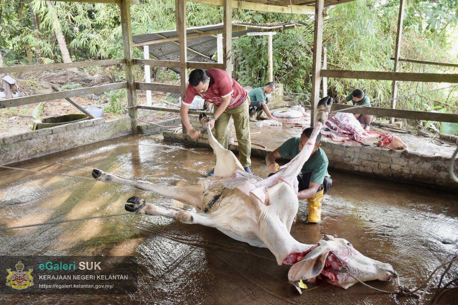 program-kurniaan-daging-korban-1.JPG