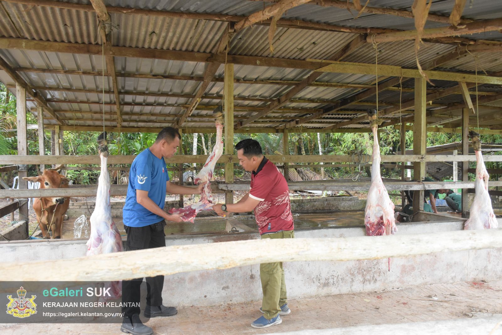 program-kurniaan-daging-korban-10.JPG