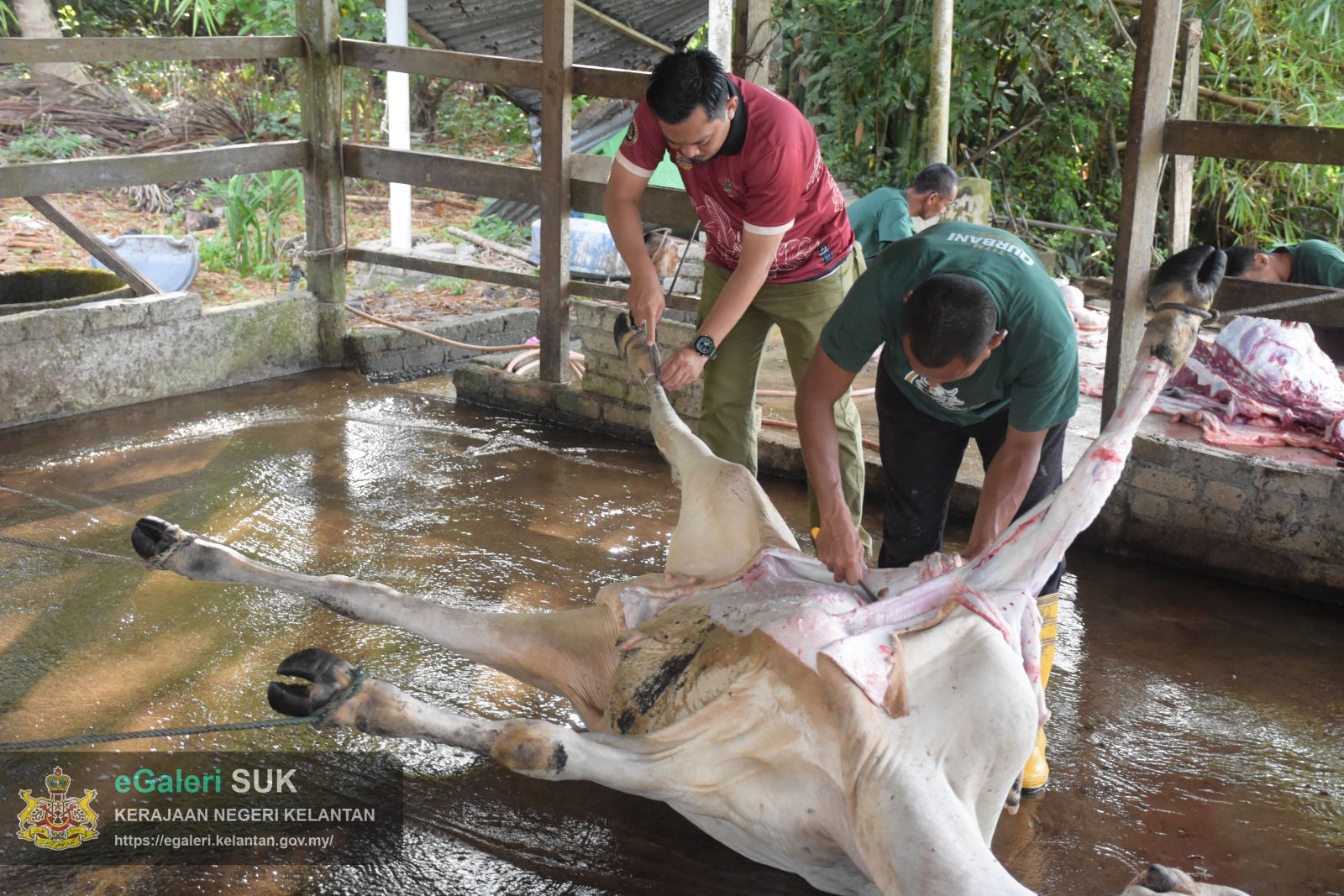 program-kurniaan-daging-korban-2.JPG