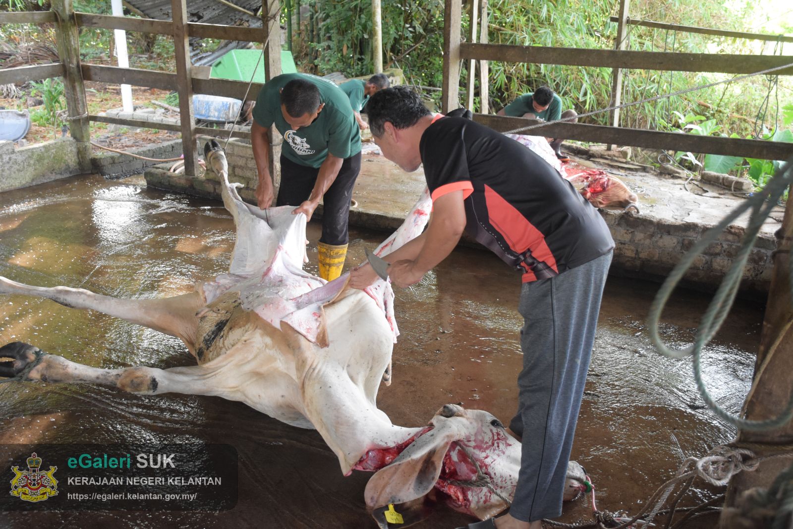 program-kurniaan-daging-korban-3.JPG