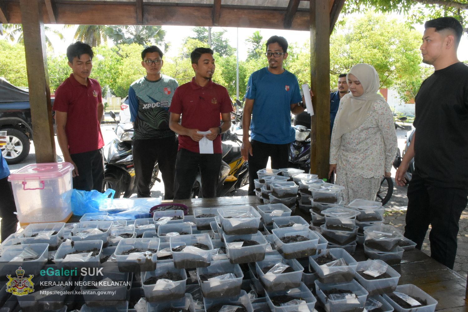 program-ngaca-suro-26.jpg