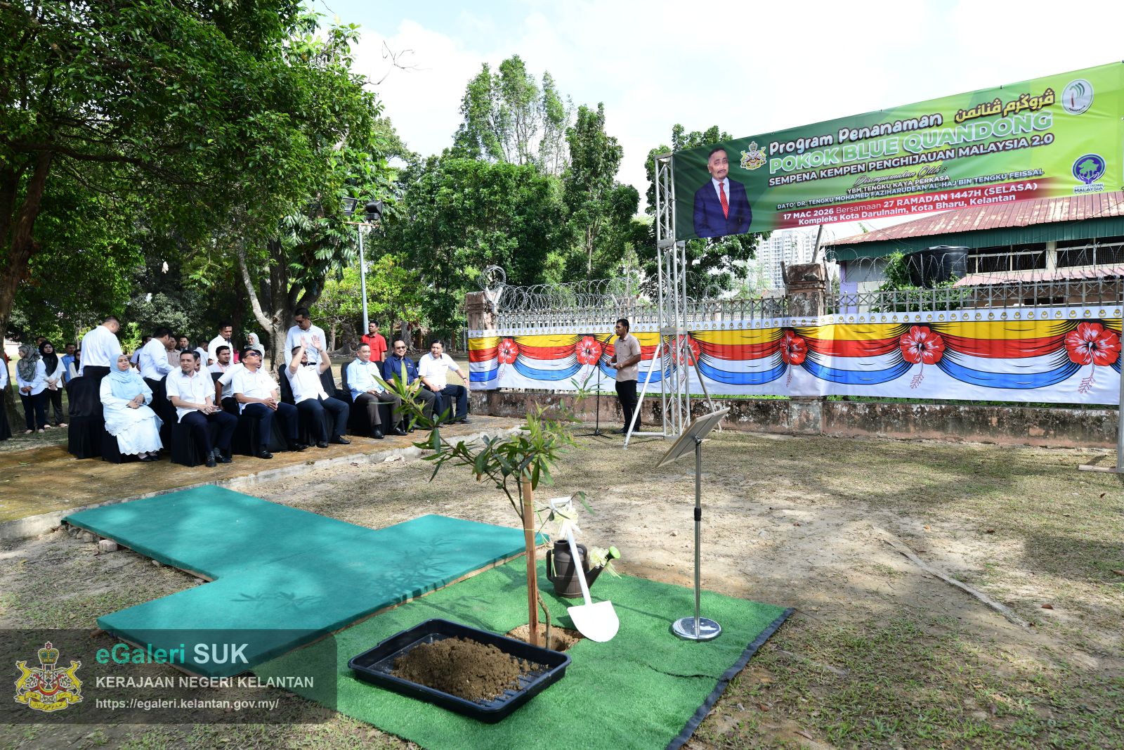 program-penanaman-pokok-blue-quandong-13.JPG
