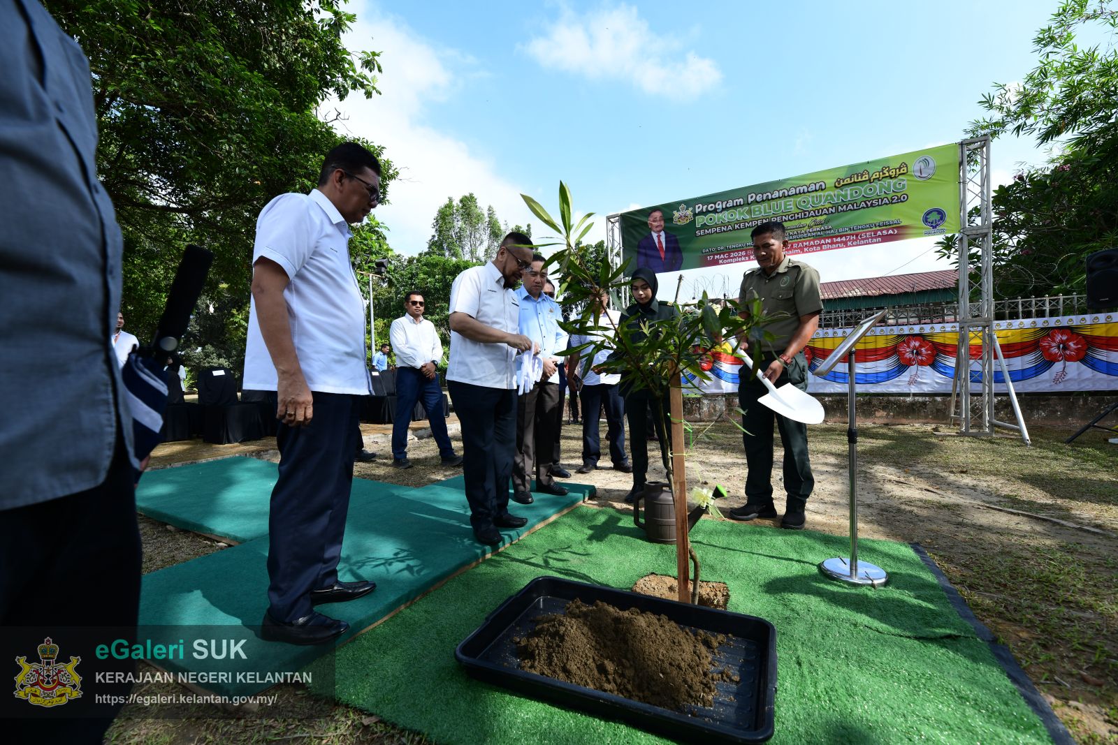 program-penanaman-pokok-blue-quandong-20.JPG