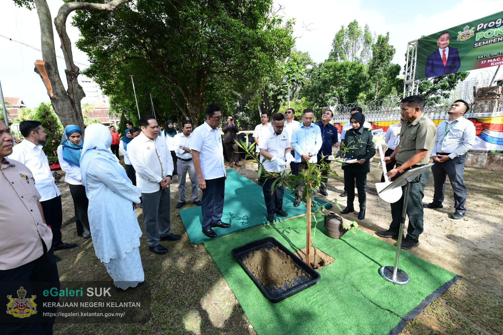 program-penanaman-pokok-blue-quandong-23.JPG