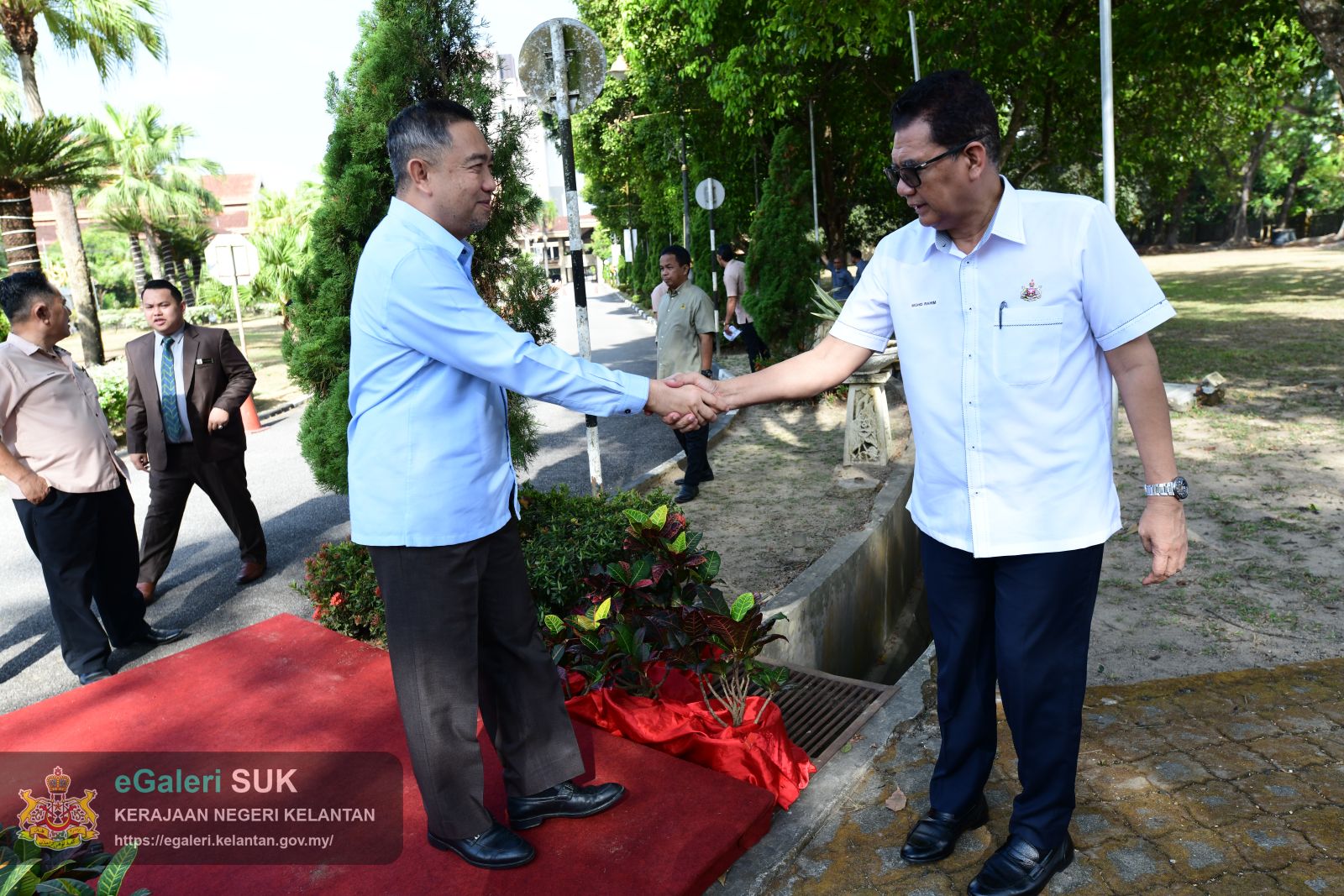 program-penanaman-pokok-blue-quandong-3.JPG