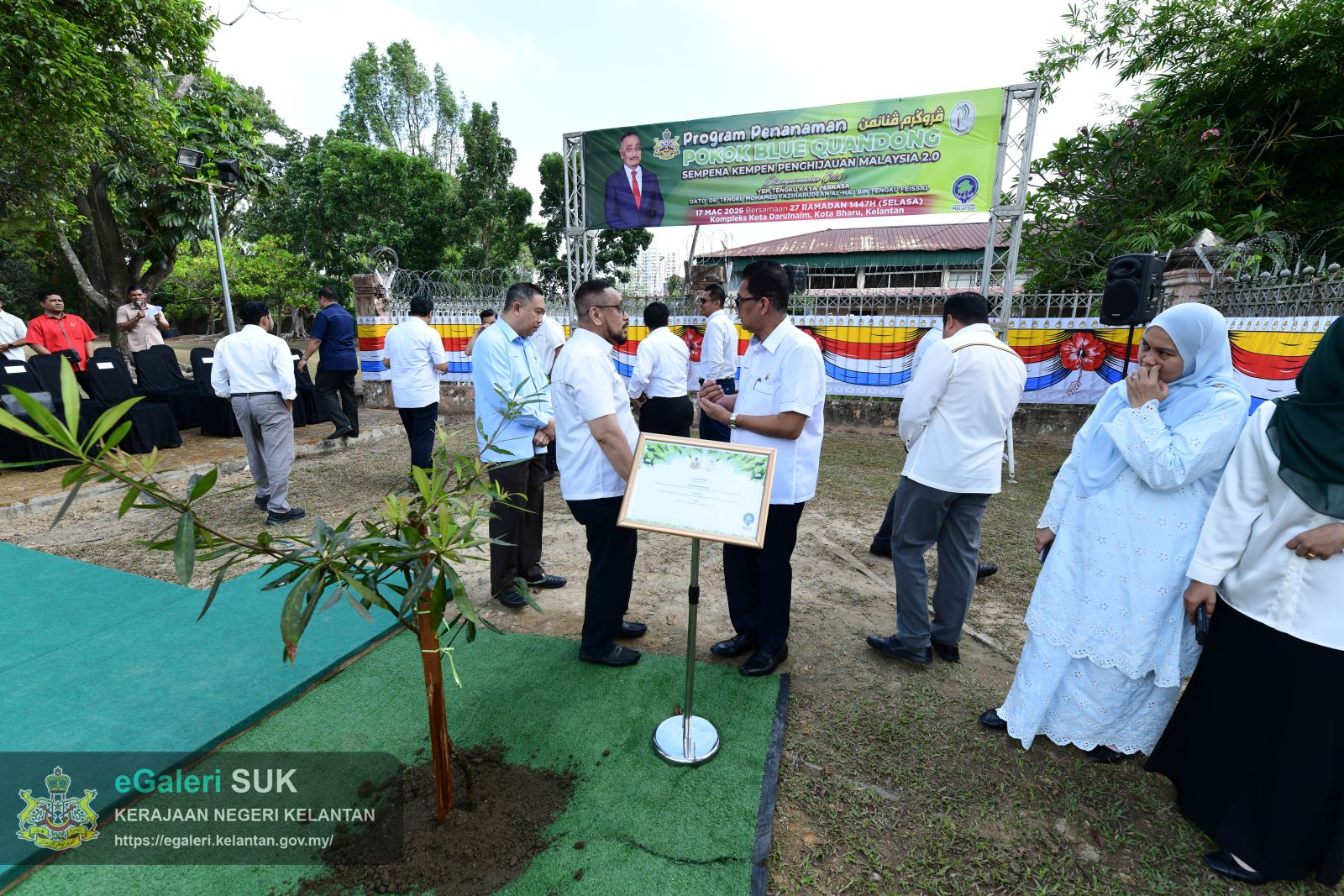 program-penanaman-pokok-blue-quandong-38.JPG