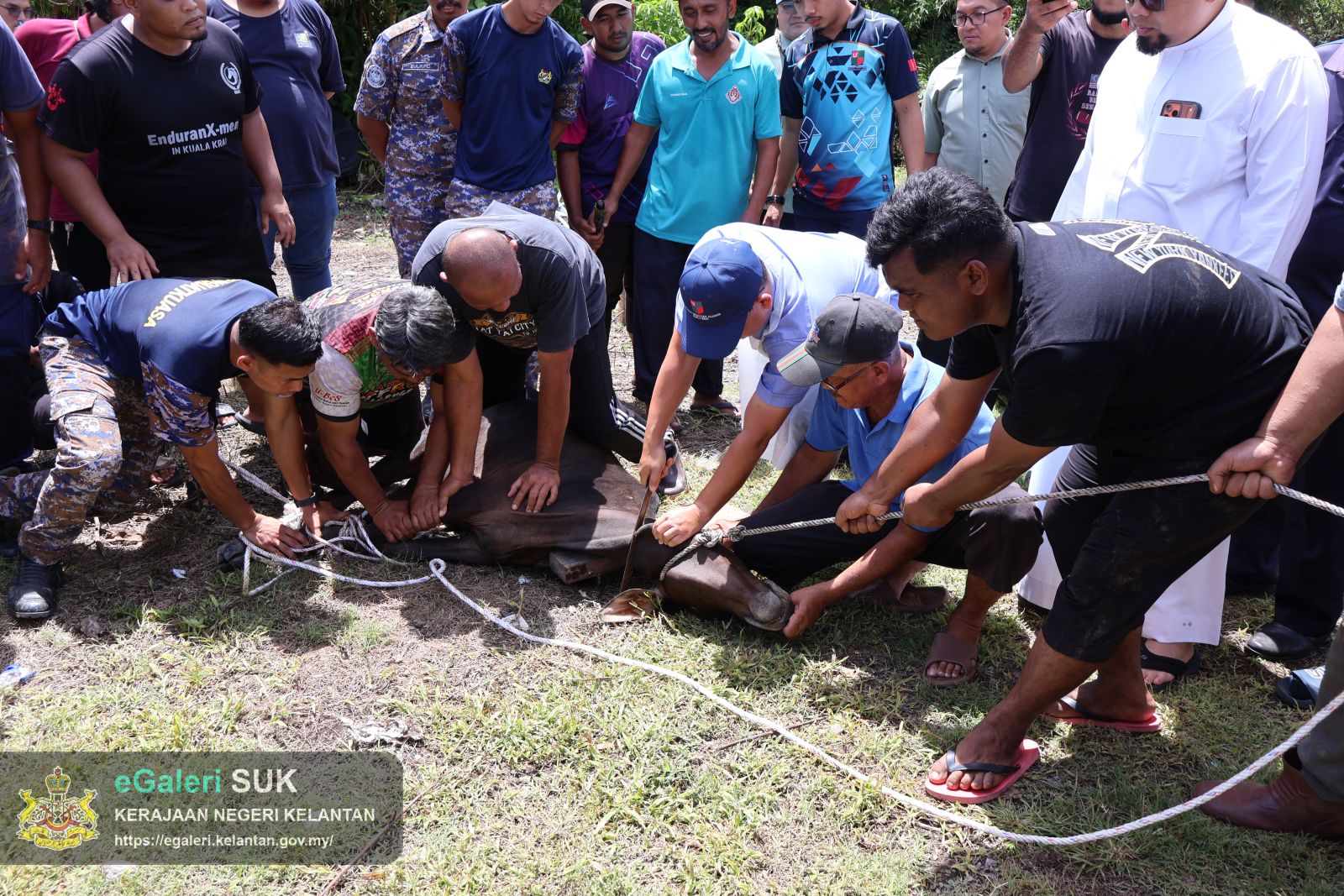 program-sembelihan-perdana-peringkat-jajahan-kuala-krai-14.JPG