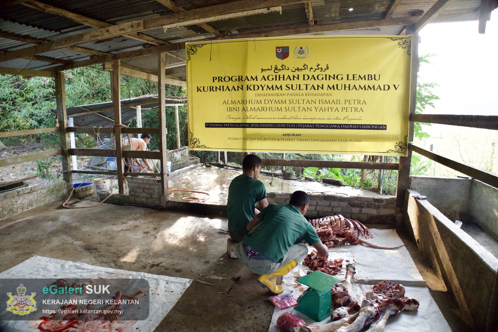 rakaman-gambar-proses-melapah-lembu-bagi-program-agihan-daging-lembu-kurniaan-kebawah-duli-yang-maha-mulia-sultan-muhammad-v-1.jpg