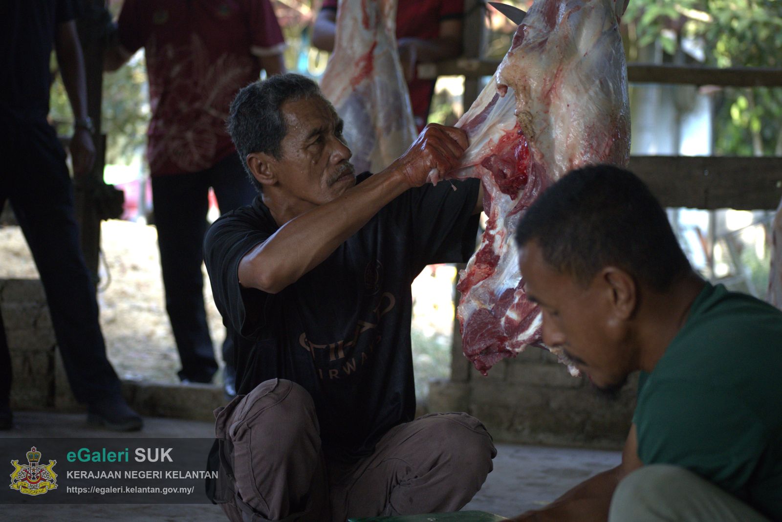 rakaman-gambar-proses-melapah-lembu-bagi-program-agihan-daging-lembu-kurniaan-kebawah-duli-yang-maha-mulia-sultan-muhammad-v-14.jpg